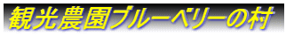 観光農園ブルーベリーの村