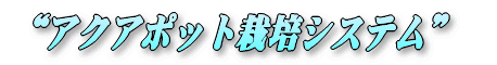 �V�����`�̔_���o�c�r�W�l�X 