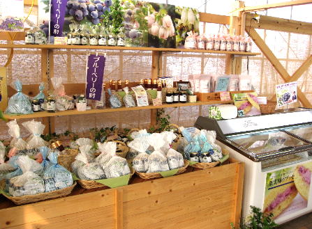 ブルーベリーの村の商品