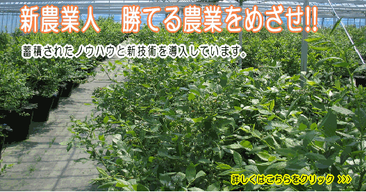 �e�`�w�����p��